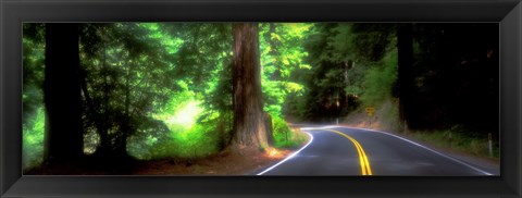 Framed Road, Redwoods, Mendocino County, California, USA Print