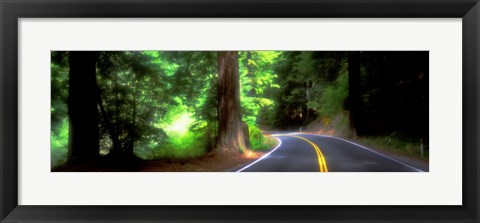 Framed Road, Redwoods, Mendocino County, California, USA Print