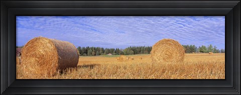 Framed Straw Rolls, Sweden Print