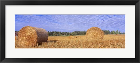 Framed Straw Rolls, Sweden Print