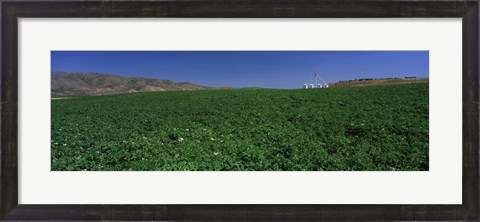 Framed USA, Idaho, Burley, Potato field surrounded by mountains Print