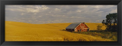 Framed Barn in a wheat field, Palouse, Washington State, USA Print