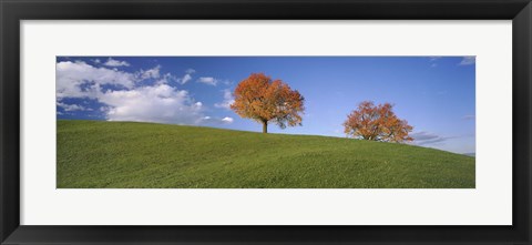 Framed Cherry Trees On A Hill, Cantone Zug, Switzerland Print