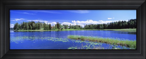 Framed Lakelands, Finland Print