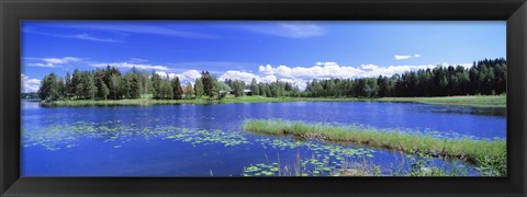 Framed Lakelands, Finland Print