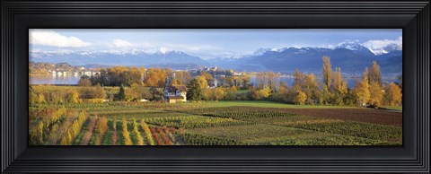 Framed Farm, Rapperswil, Zurich, Switzerland Print