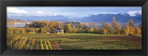 Framed Farm, Rapperswil, Zurich, Switzerland Print