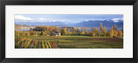 Framed Farm, Rapperswil, Zurich, Switzerland Print