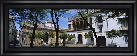 Framed Trees in front of buildings, Convento San Leandro, Plaza Pilatos, Seville, Spain Print