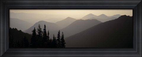 Framed Mount Rainier National Park WA USA Print
