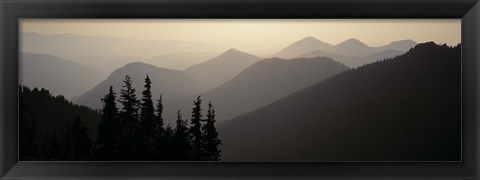 Framed Mount Rainier National Park WA USA Print