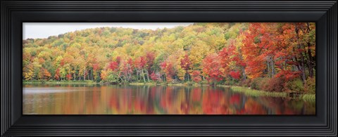 Framed Savoy Mountain State Forest, Massachusetts, USA Print