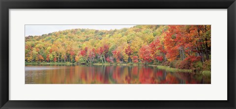 Framed Savoy Mountain State Forest, Massachusetts, USA Print