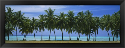 Framed Palms &amp; lagoon Aitutaki Cook Islands Print