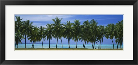 Framed Palms &amp; lagoon Aitutaki Cook Islands Print