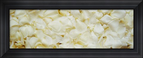 Framed White Rose Petals Print