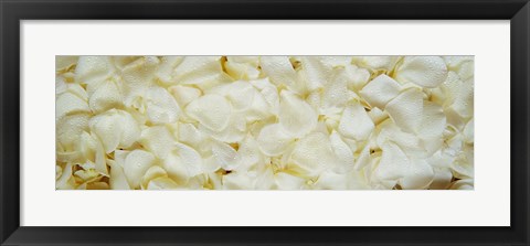 Framed White Rose Petals Print