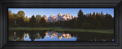 Framed Beaver Pond Grand Teton National Park WY Print