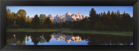 Framed Beaver Pond Grand Teton National Park WY Print