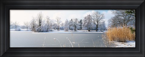 Framed Snow covered trees near a lake, Lake Schubelweiher Kusnacht, Zurich, Switzerland Print