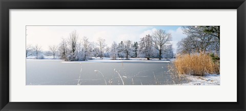 Framed Snow covered trees near a lake, Lake Schubelweiher Kusnacht, Zurich, Switzerland Print