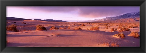 Framed Olancha Sand Dunes, Olancha, California, USA Print