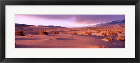 Framed Olancha Sand Dunes, Olancha, California, USA Print