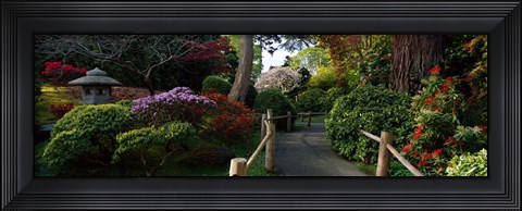 Framed Japanese Tea Garden, San Francisco, California, USA Print