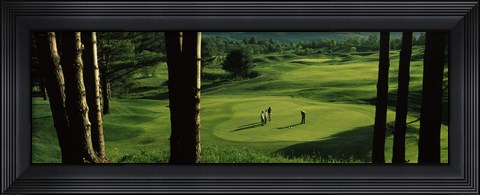 Framed Four people playing golf, Country Club Of Vermont, Waterbury, Washington County, Vermont, USA Print