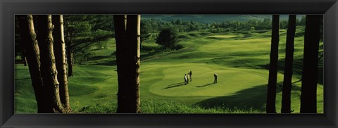 Framed Four people playing golf, Country Club Of Vermont, Waterbury, Washington County, Vermont, USA Print