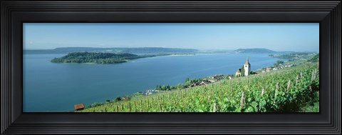 Framed Vineyard near a village, Lake Biel, Ligerz, Canton of Bern, Switzerland Print