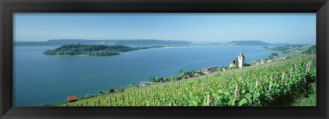 Framed Vineyard near a village, Lake Biel, Ligerz, Canton of Bern, Switzerland Print