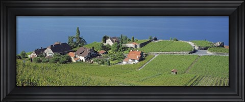 Framed Aerial View Of Vineyards By A Lake, Lake Geneva, Vaud, Switzerland Print