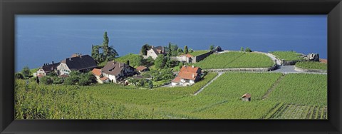 Framed Aerial View Of Vineyards By A Lake, Lake Geneva, Vaud, Switzerland Print