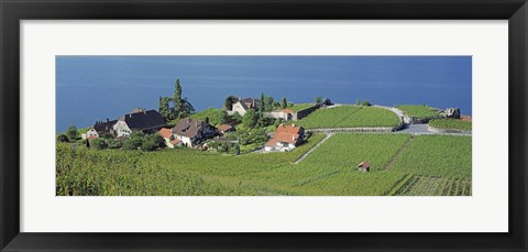 Framed Aerial View Of Vineyards By A Lake, Lake Geneva, Vaud, Switzerland Print