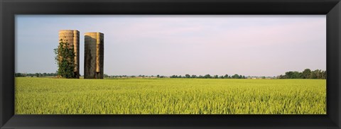 Framed USA, Arkansas, View of grain silos in a field Print