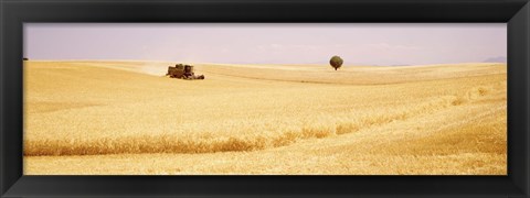 Framed Tractor, Wheat Field, Plateau De Valensole, France Print