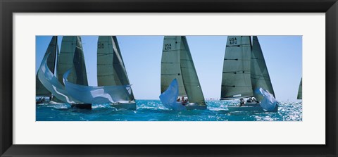 Framed Sailboats, Key West, Florida Print
