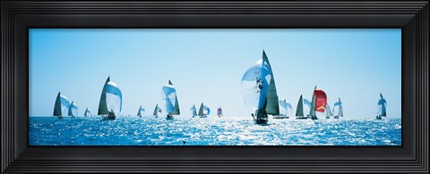 Framed Sailboat Race, Key West Florida, USA Print