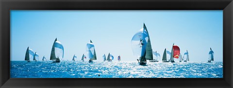 Framed Sailboat Race, Key West Florida, USA Print