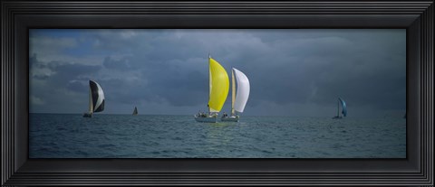 Framed Sailboat race Key West, Florida Print