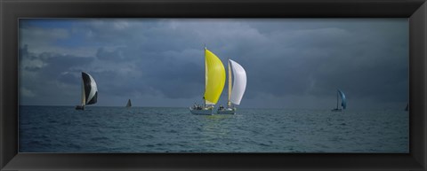 Framed Sailboat race Key West, Florida Print