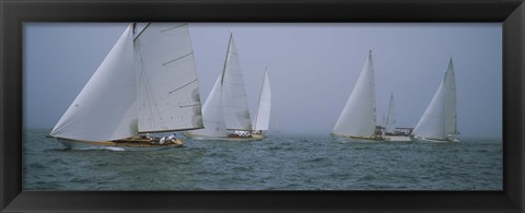 Framed Sailboats at regatta, Newport, Rhode Island, USA Print