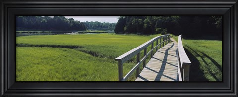Framed Boardwalk in a field, Nauset Marsh, Cape Cod, Massachusetts, USA Print