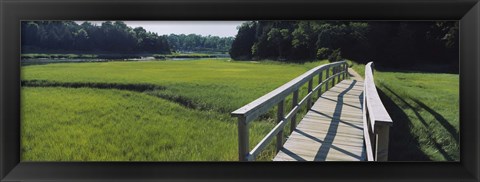 Framed Boardwalk in a field, Nauset Marsh, Cape Cod, Massachusetts, USA Print