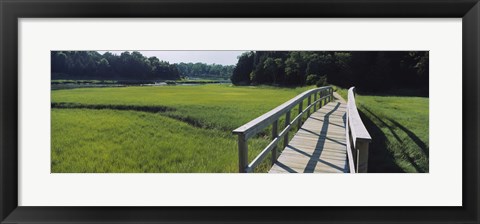 Framed Boardwalk in a field, Nauset Marsh, Cape Cod, Massachusetts, USA Print