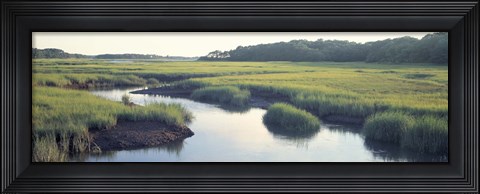 Framed Salt Marsh Cape Cod MA USA Print