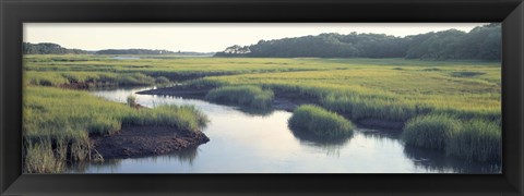 Framed Salt Marsh Cape Cod MA USA Print