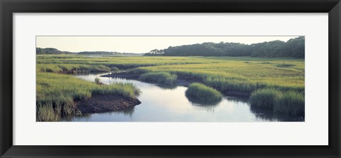 Framed Salt Marsh Cape Cod MA USA Print