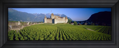 Framed Vineyard in front of a castle, Aigle Castle, Musee de la Vigne et du Vin, Aigle, Vaud, Switzerland Print